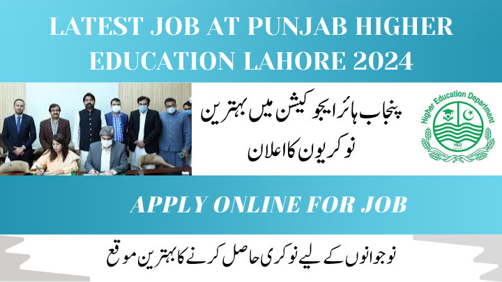 latest job at Punjab Higher Education Lahore 2024